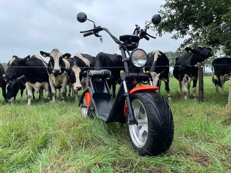 Foto van een e-choppers van E-verhuur Koldeweij naast een weiland