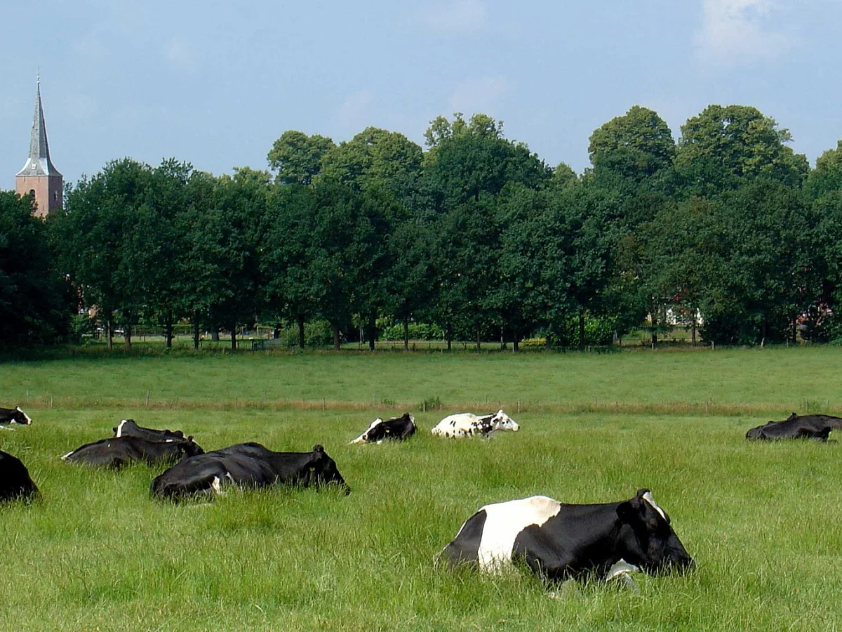 Gieten