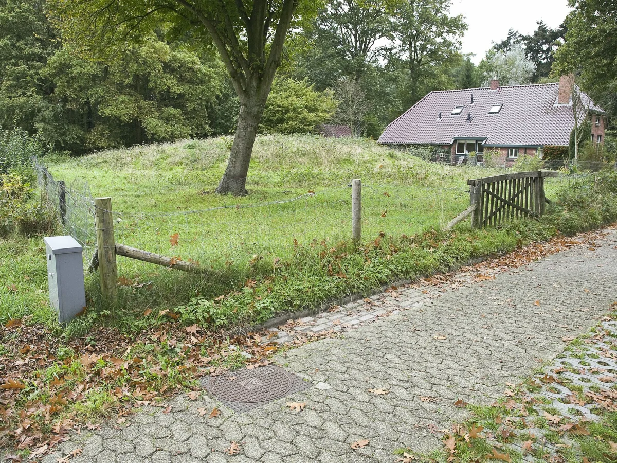 Zeegse