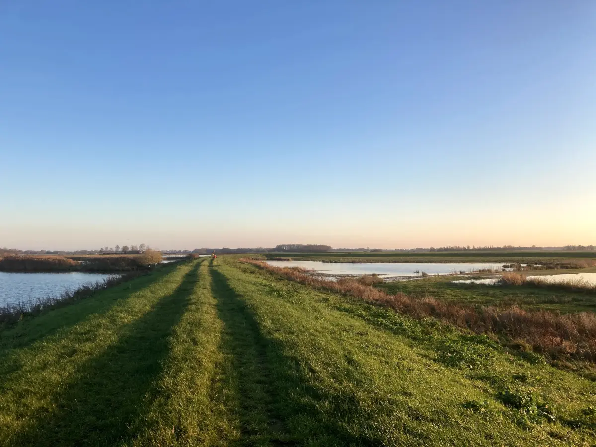 Zuidlaarderveen